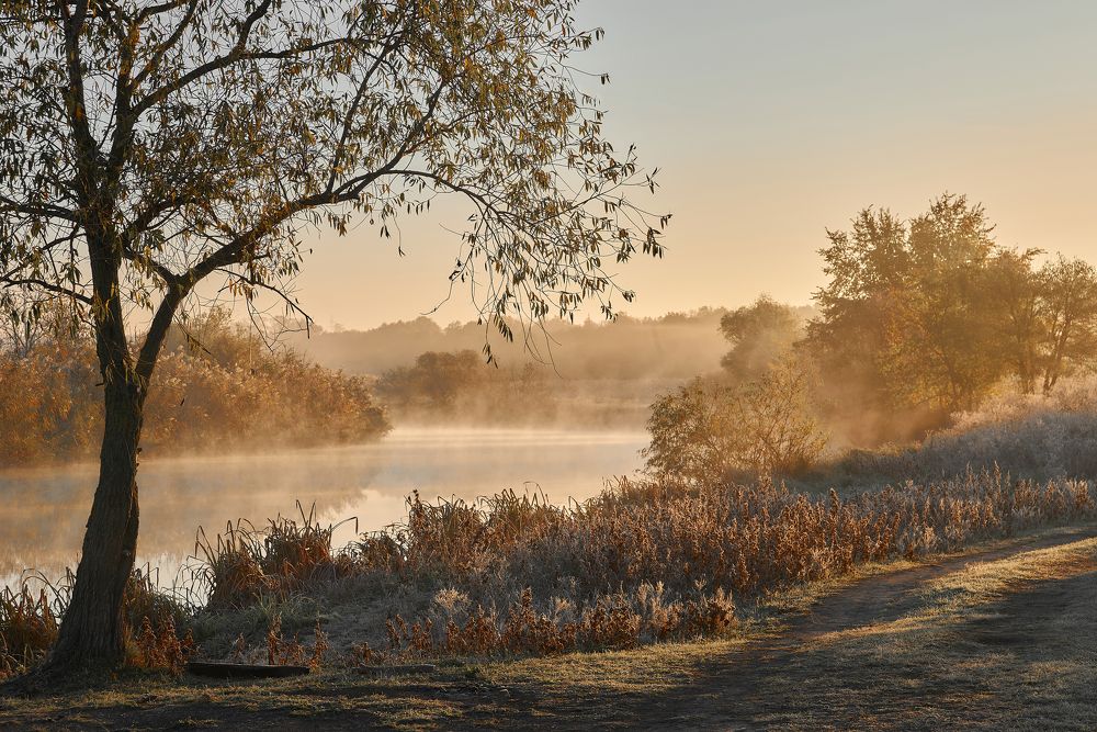 Photograph by Виталий Кравченко