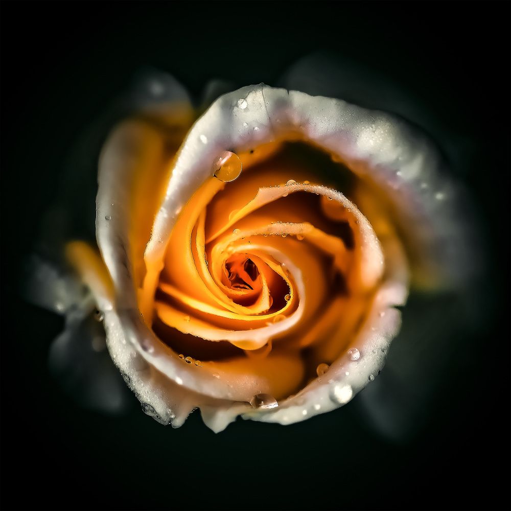 Фотография автора motomoto std