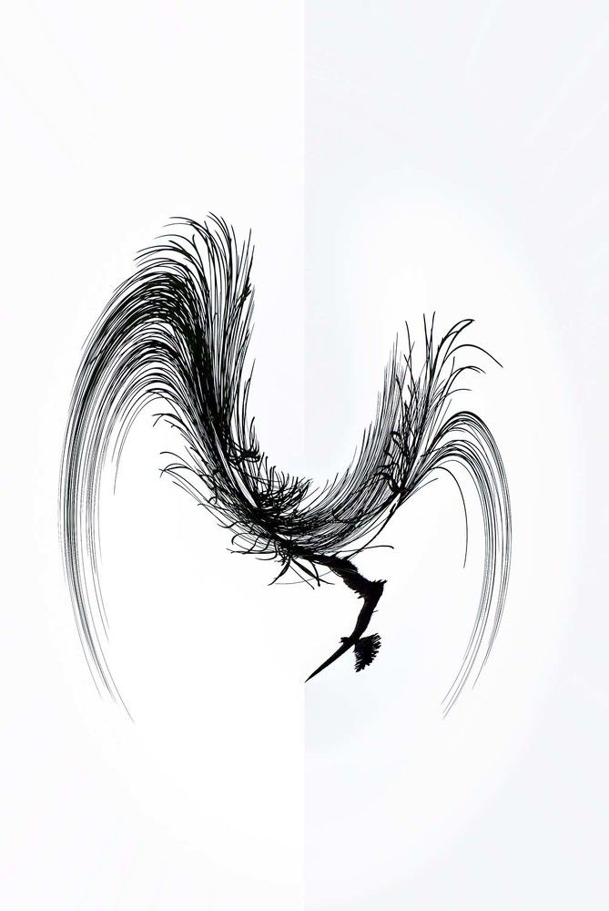 Photograph by Игорь Пшеничников