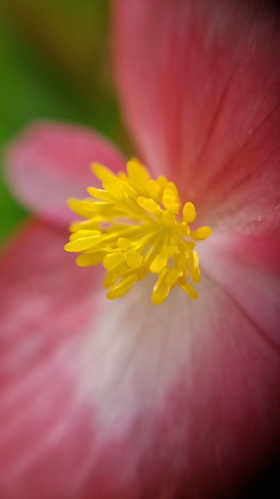 Photograph by Ирина Столярова
