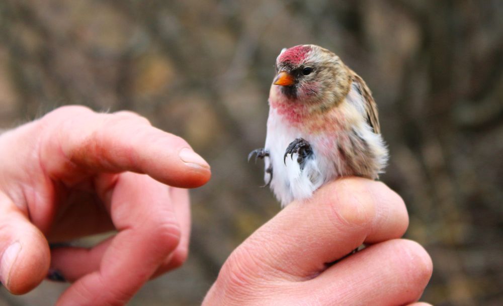 Фотография автора Галина Спирина