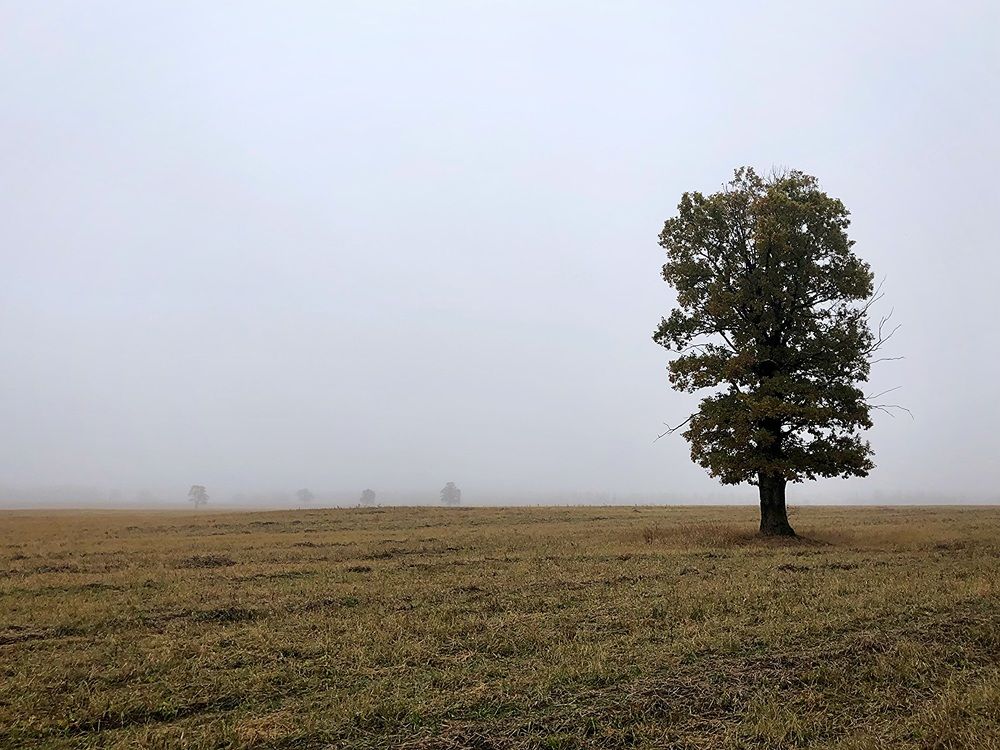 Photograph by Halina Mitsevich