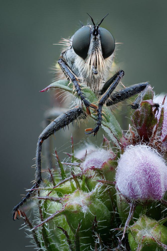 Photograph by Кузнецов Дмитрий