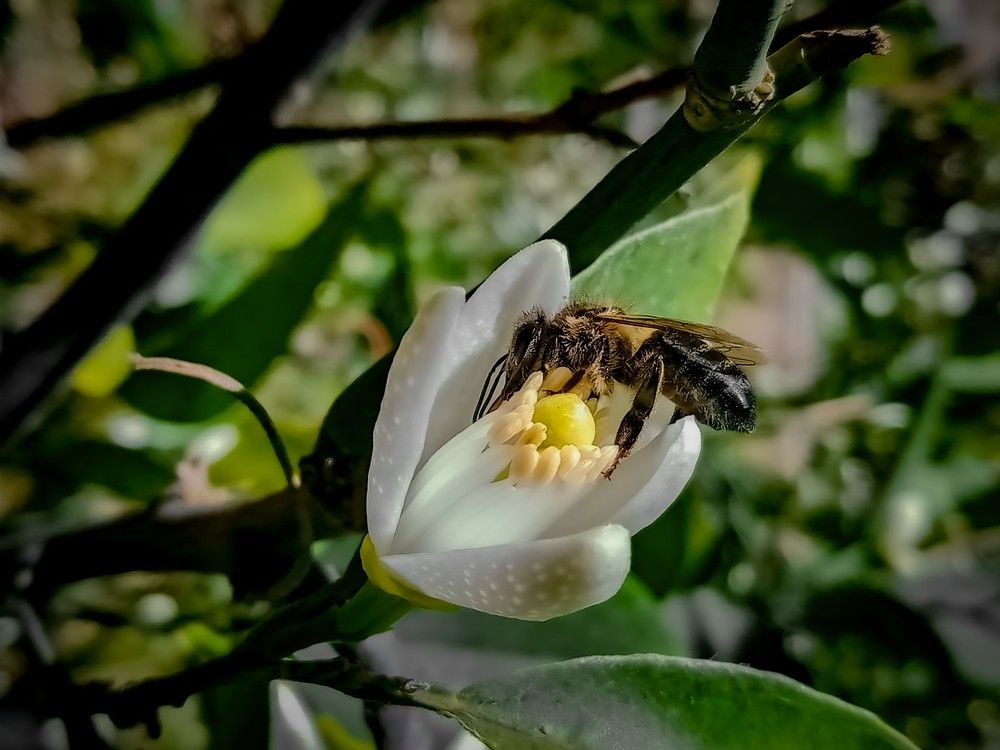 Photograph by Sara Bounab