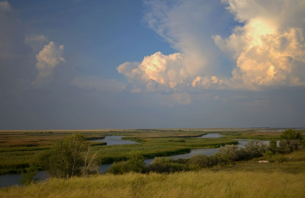 Photograph by ANDREY KISELYOV