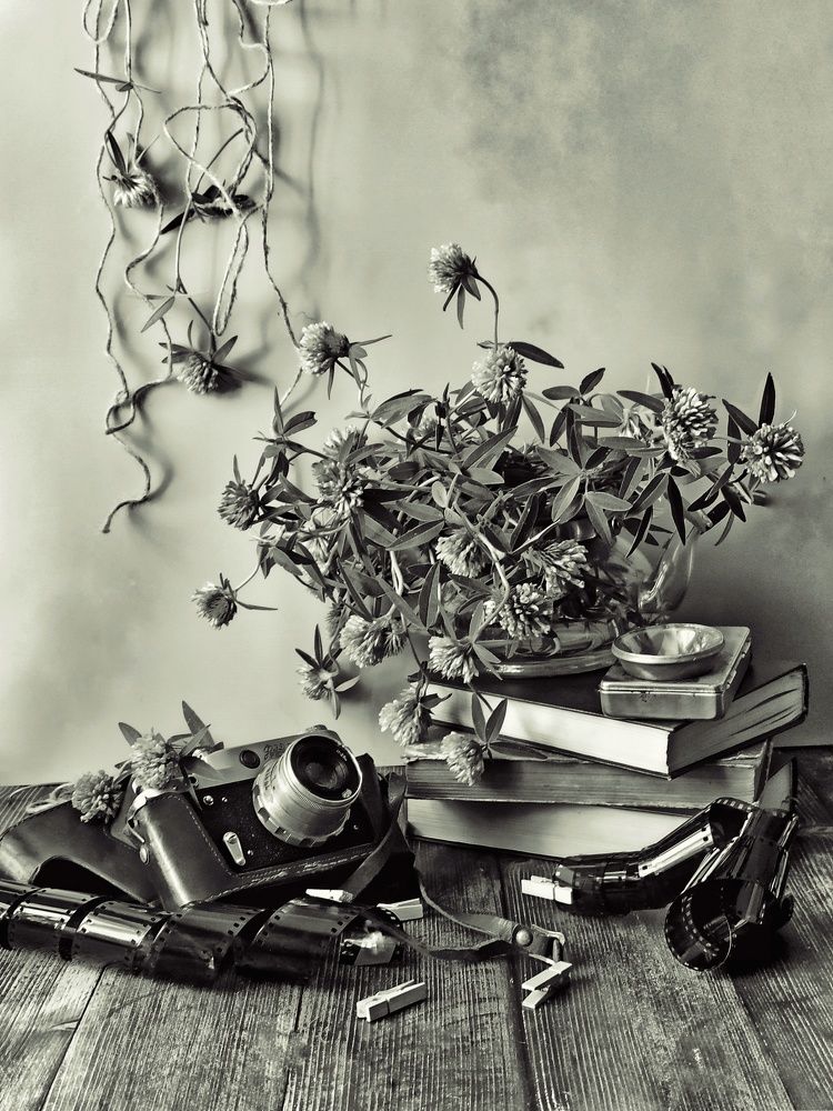 Photograph by Новикова Елена Сергеевна