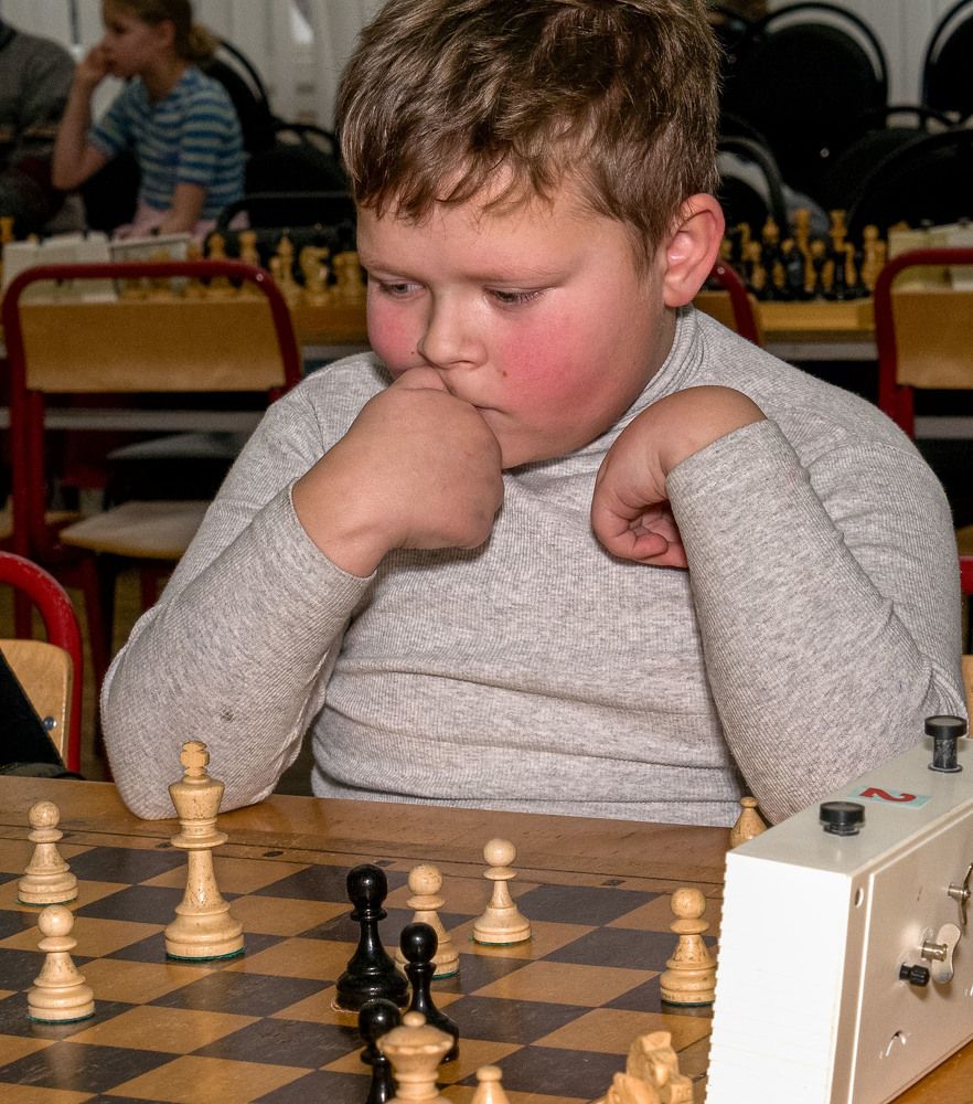 Photograph by Vladimir  Komarov