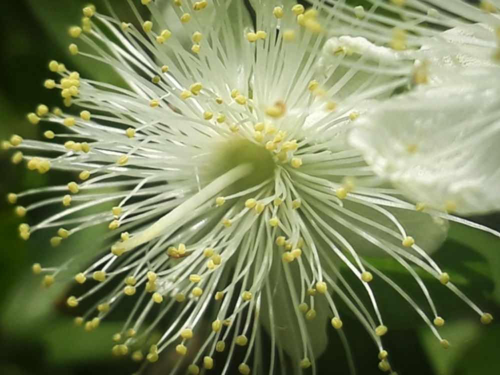 Photograph by Dilara C