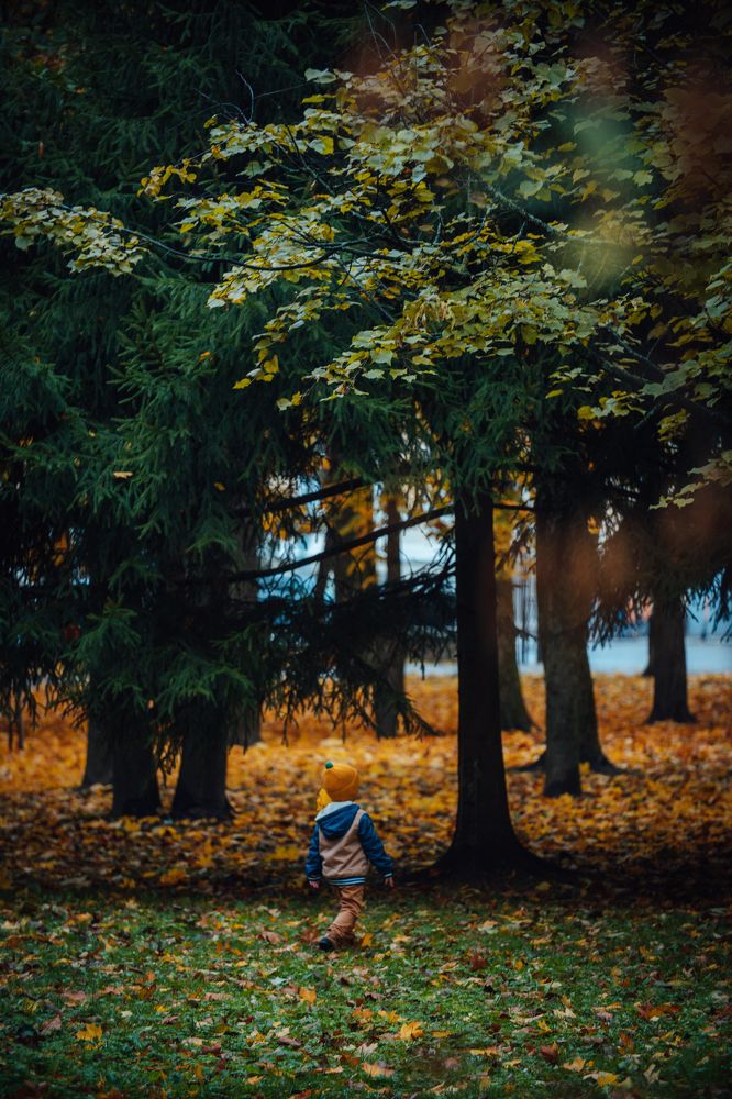 Photograph by Екатерина Степоненкова