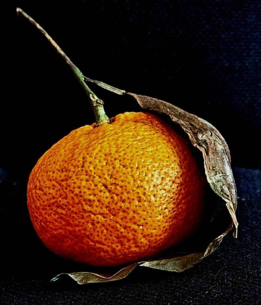 Photograph by Елена Ляпина