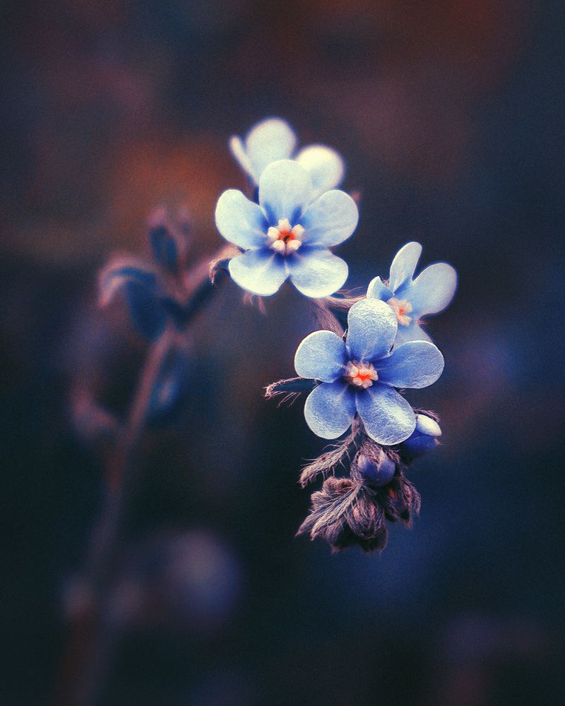 Photograph by Farzad Ajori