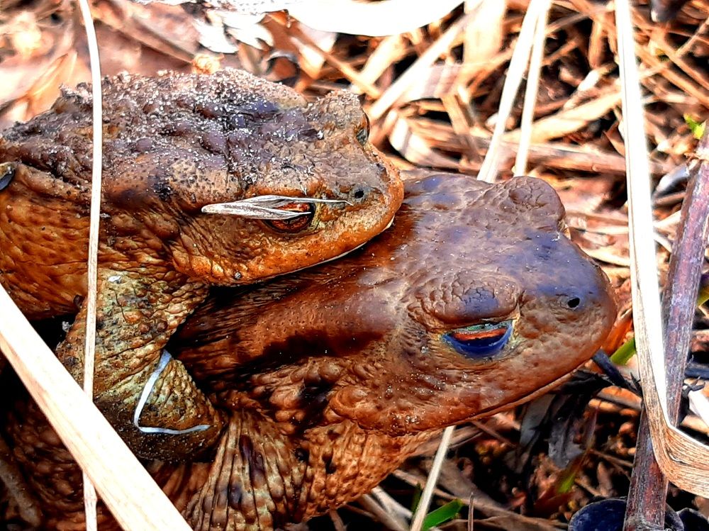 Photograph by Екатерина