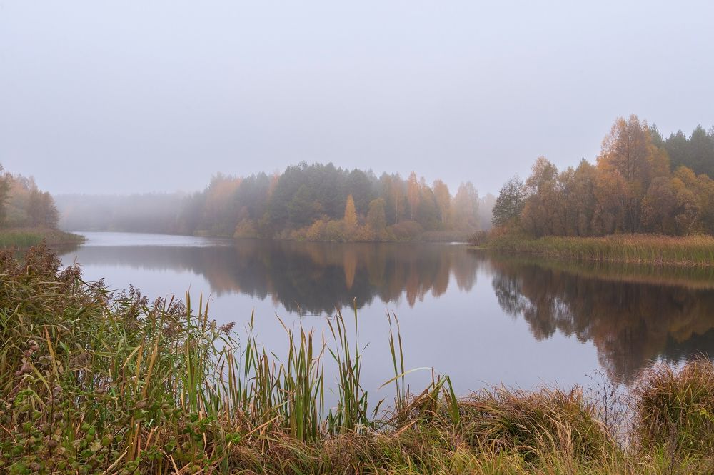 Photograph by василий Некрашевич