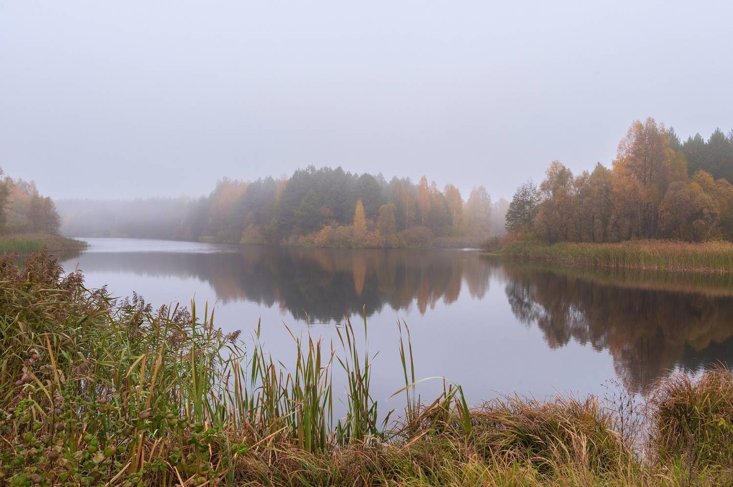Photo #9733871