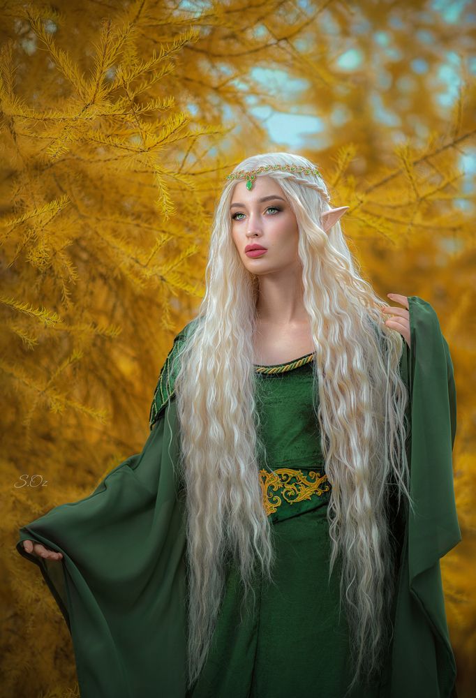 Фотография автора Софья Ознобихина