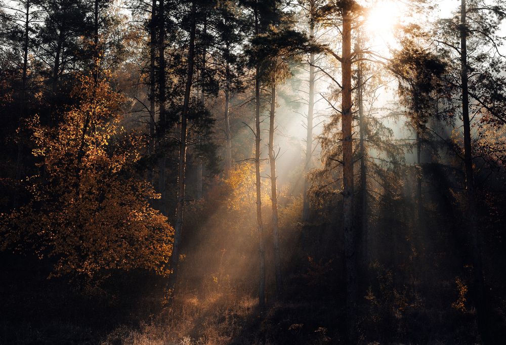 Photograph by Oleg Suhenko