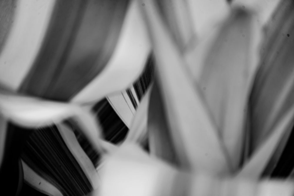 Photograph by Yanisel Clemente