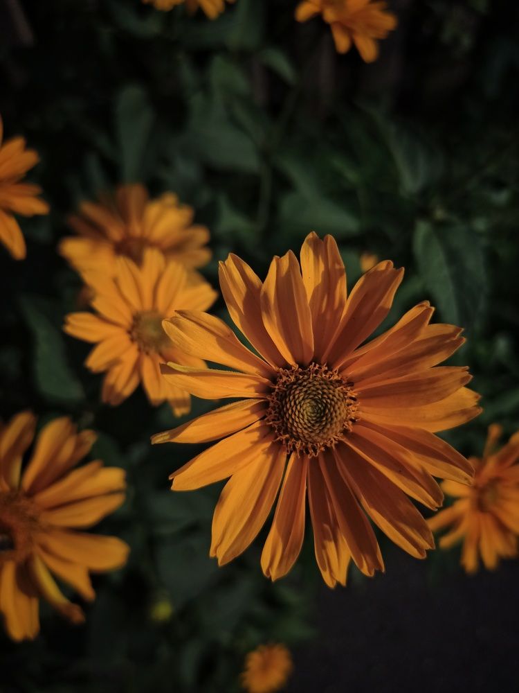 Photograph by Ирина