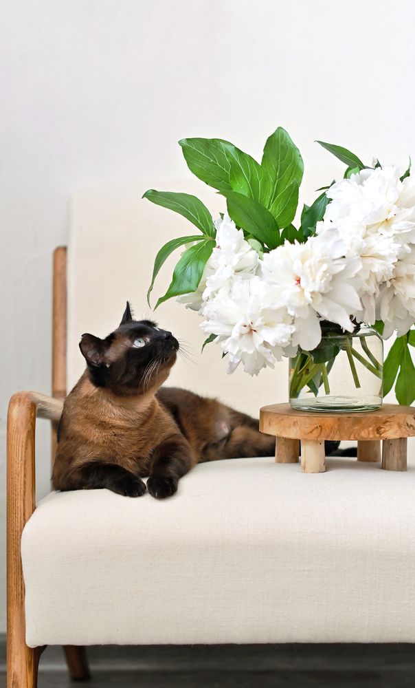 Photograph by Мария Карышева