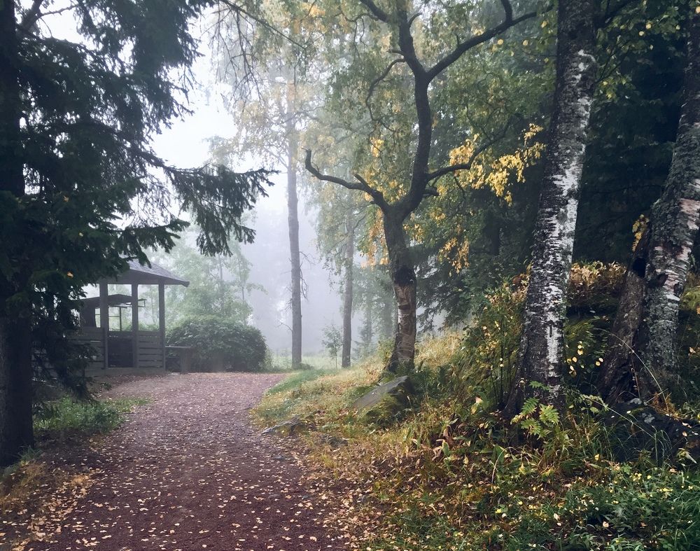 Photograph by Гордий Михаил