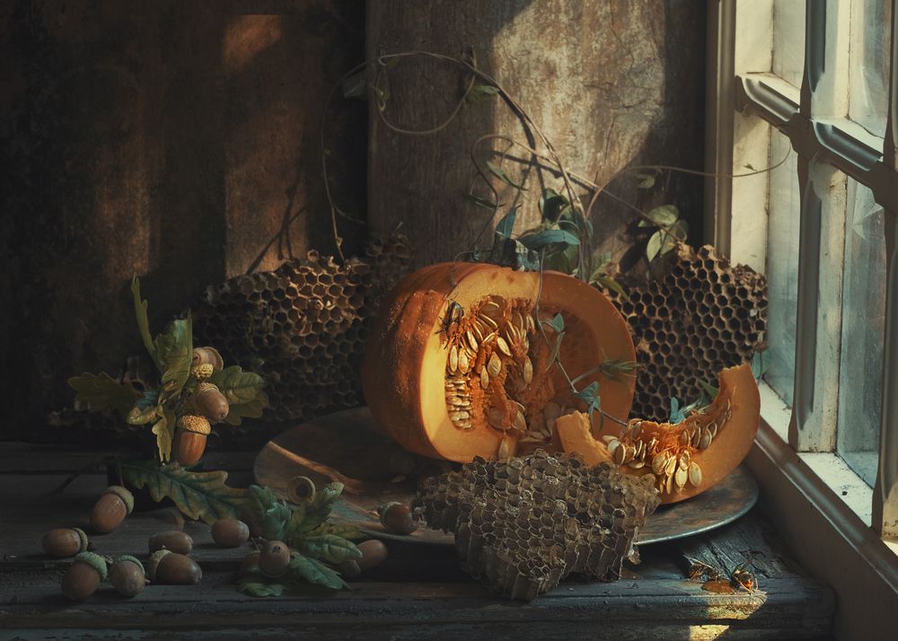 Photograph by Natalia Ricci