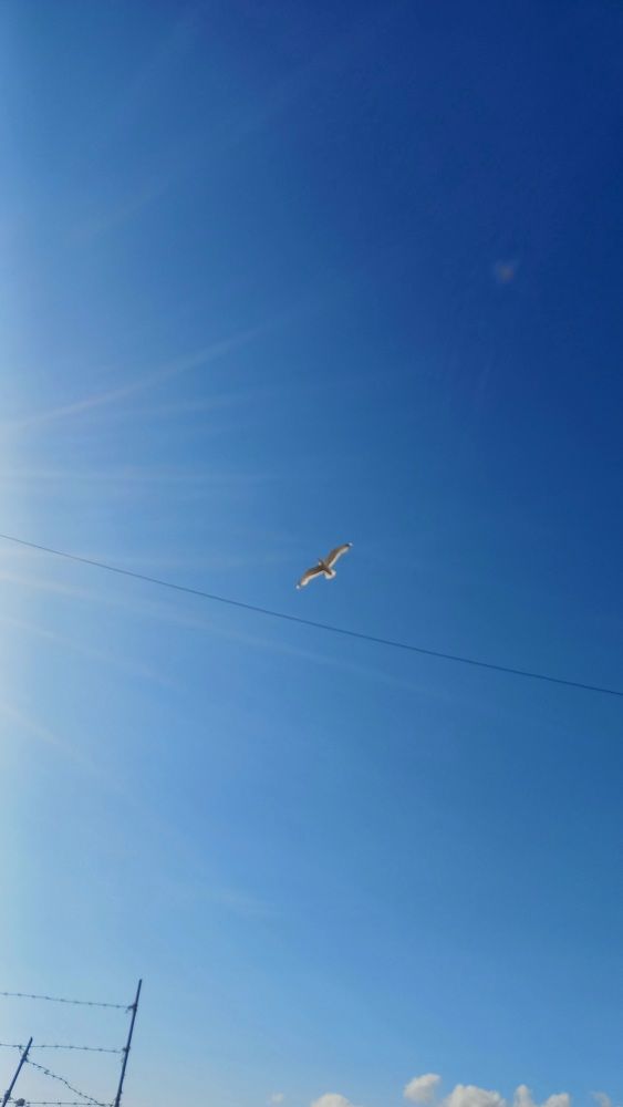 Photograph by Каковкина Ольга