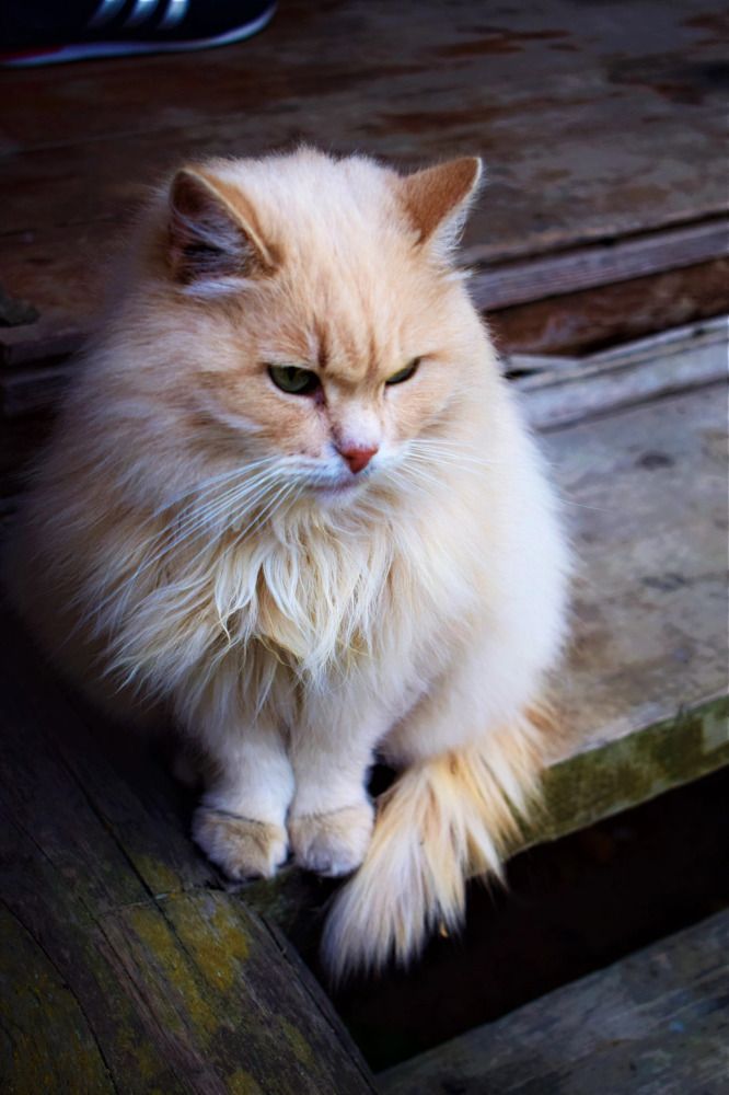 Photograph by Олег Лебедев