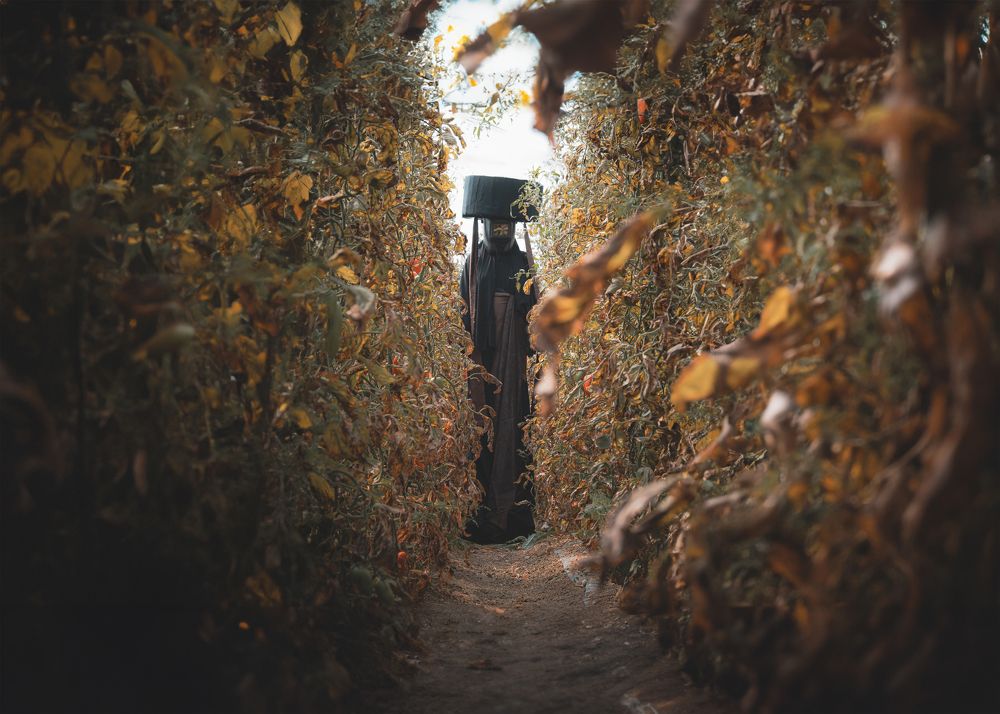 Фотография автора Abdullah Ibradžić