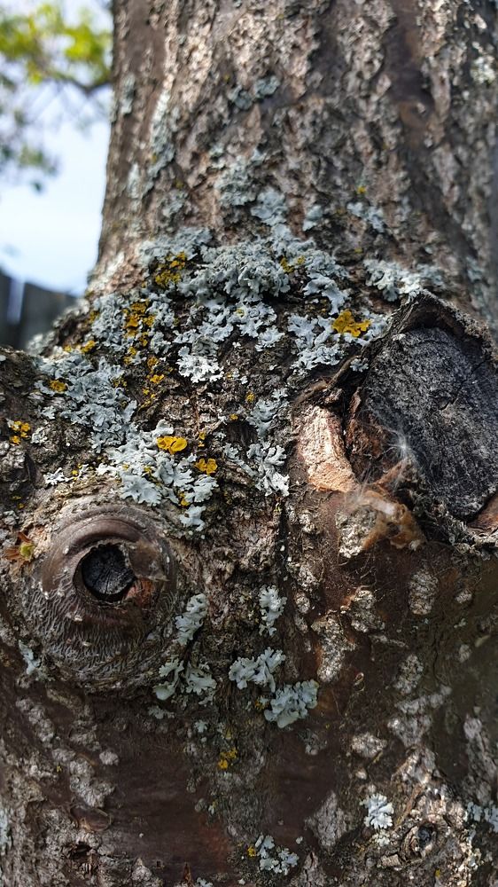 Photograph by Аист