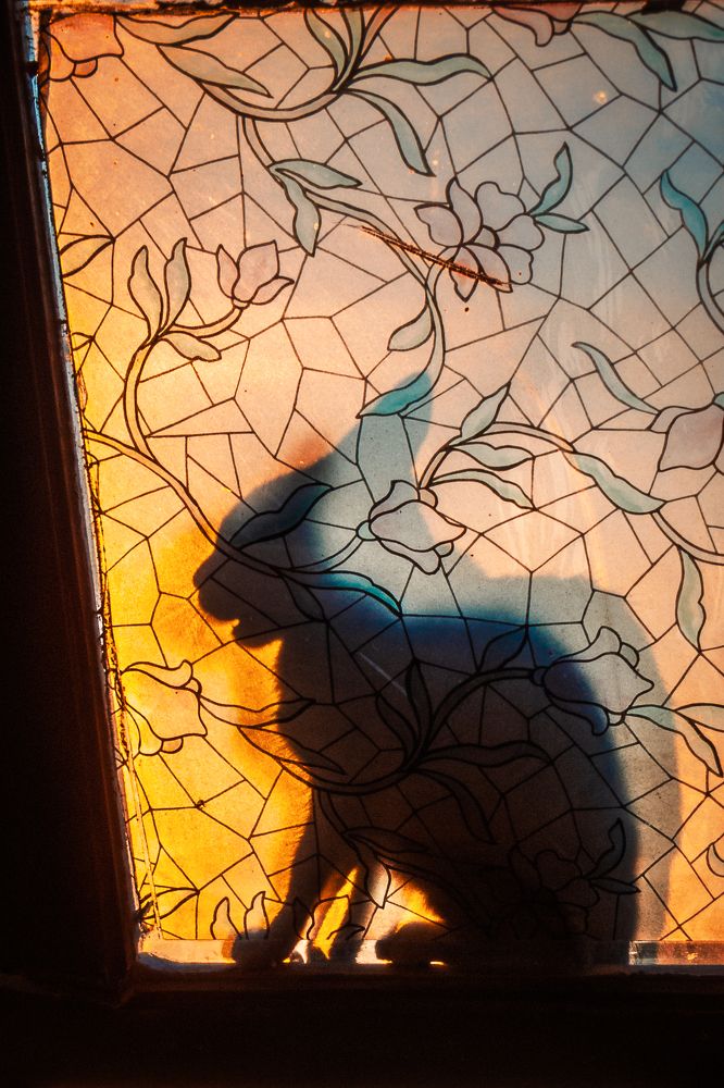 Photograph by Angel Biarnes