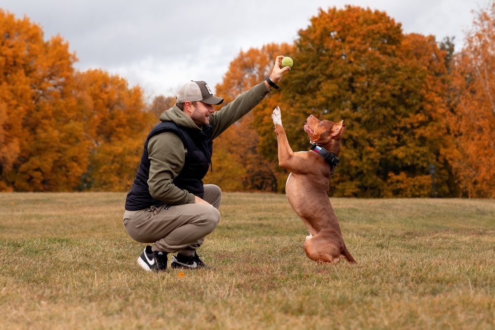 Photograph by Наталья Носова (Кучеренко)