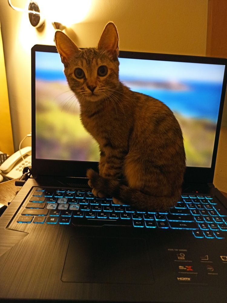 Are we going to work today?