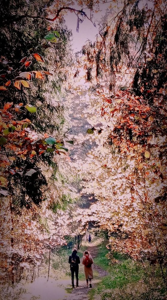 Photograph by Eлена Смирнова