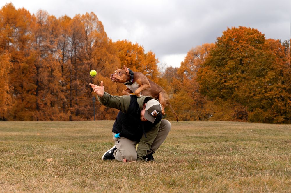 Photograph by Наталья Носова (Кучеренко)