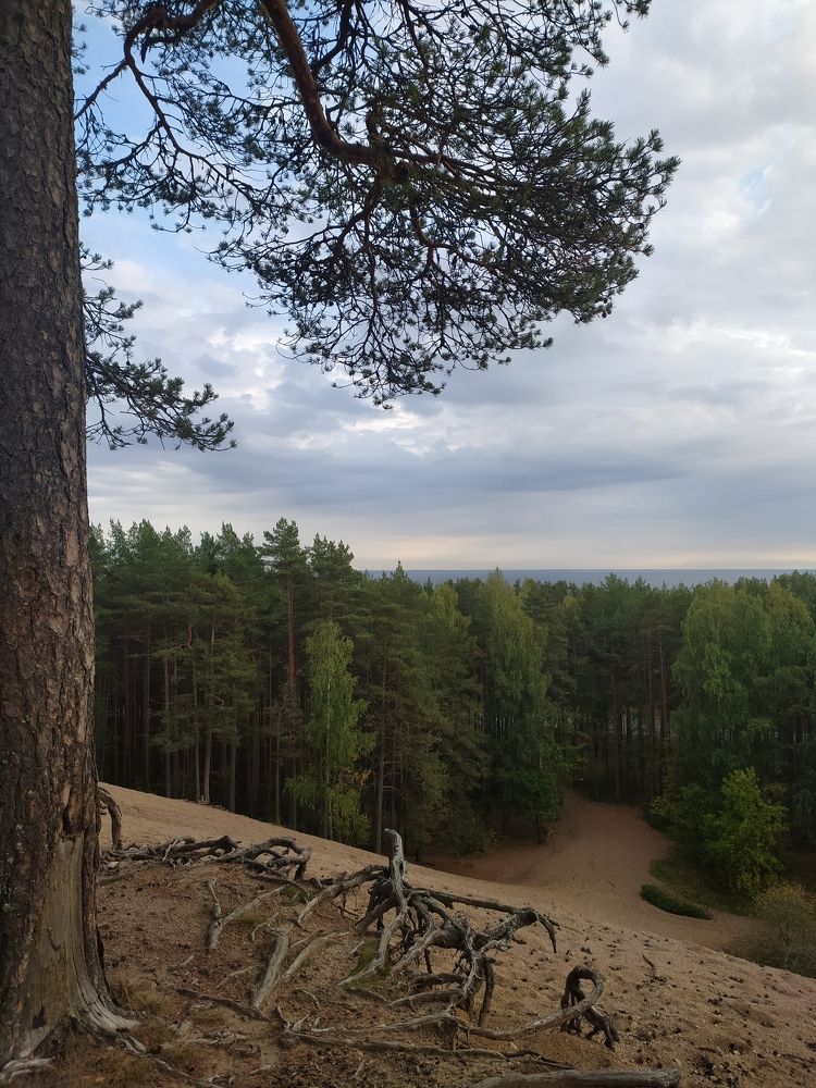 Фотография автора Елена Лукина
