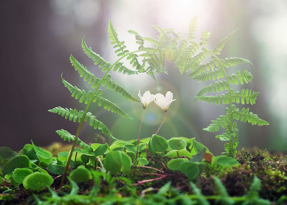 Photograph by Лукашук Евгений