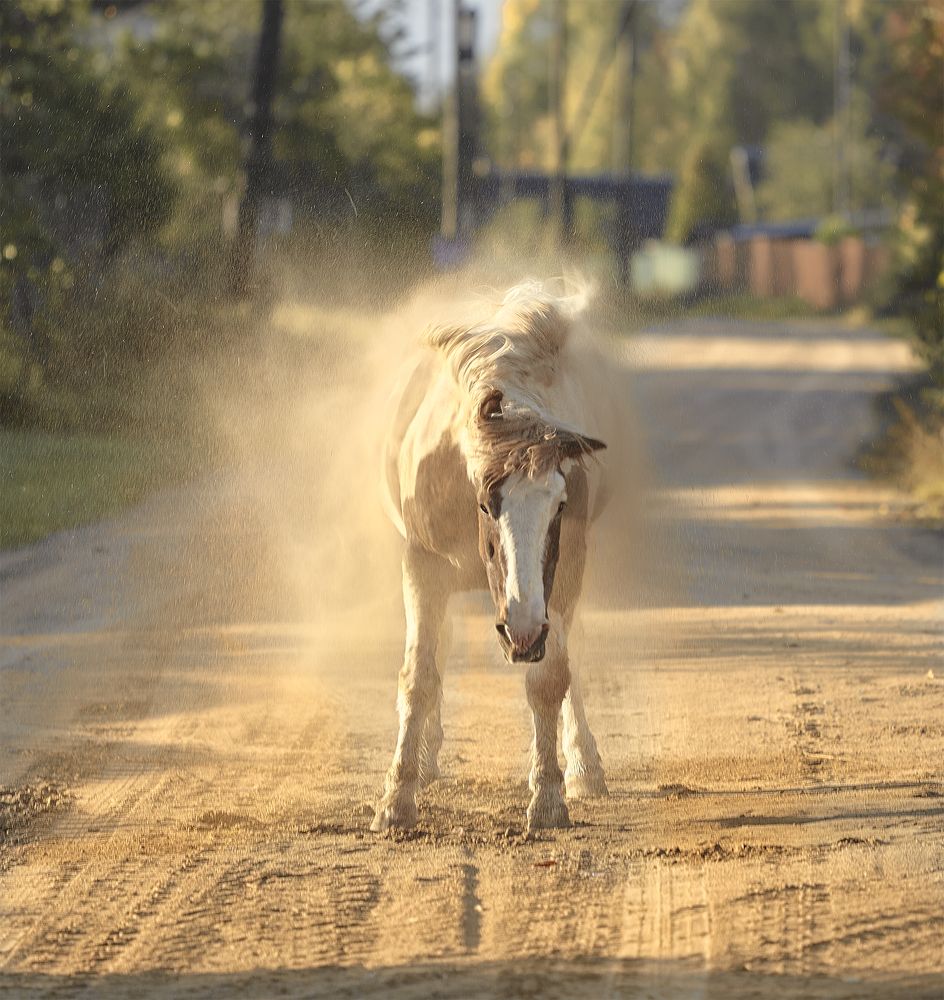 Photograph by Геннадий Васенков