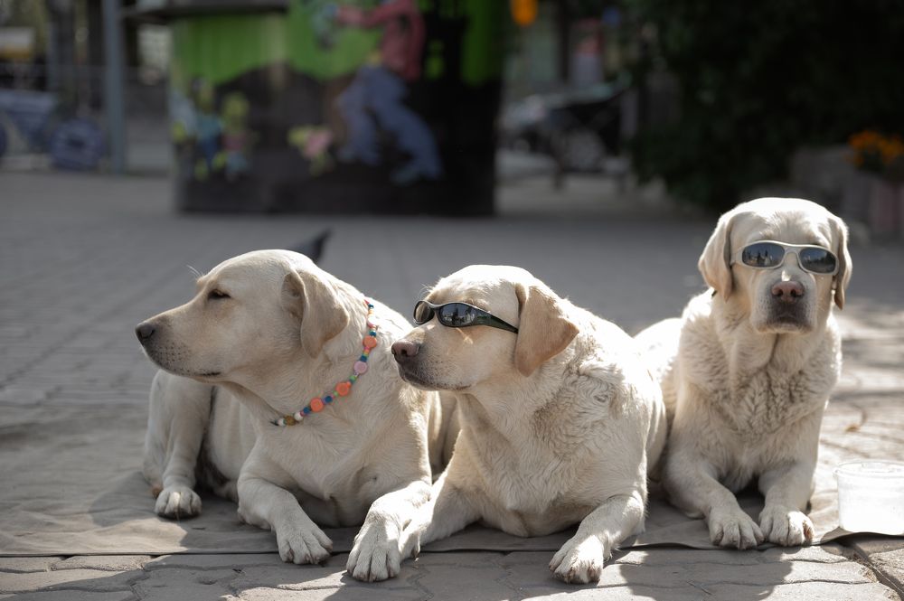 Photograph by Елена Куртеева