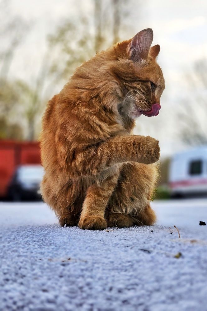 Photograph by Ирина Лучинская