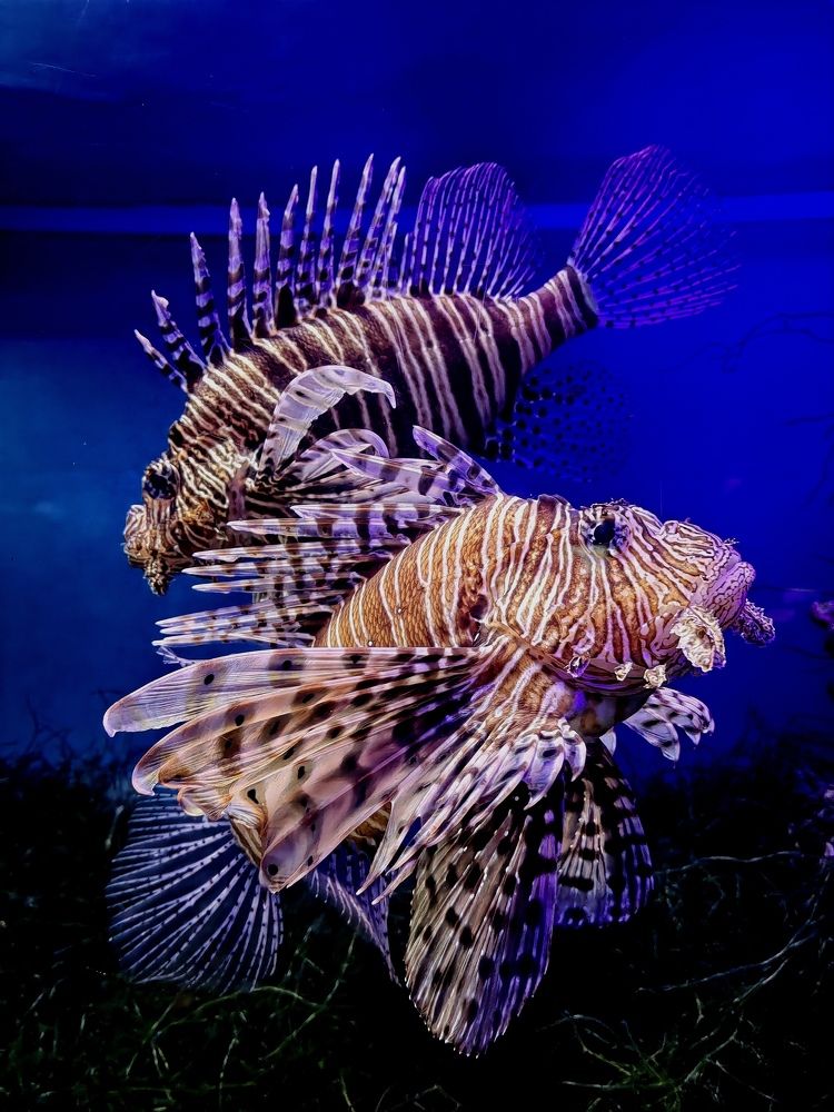 Photograph by Natalya Guseva