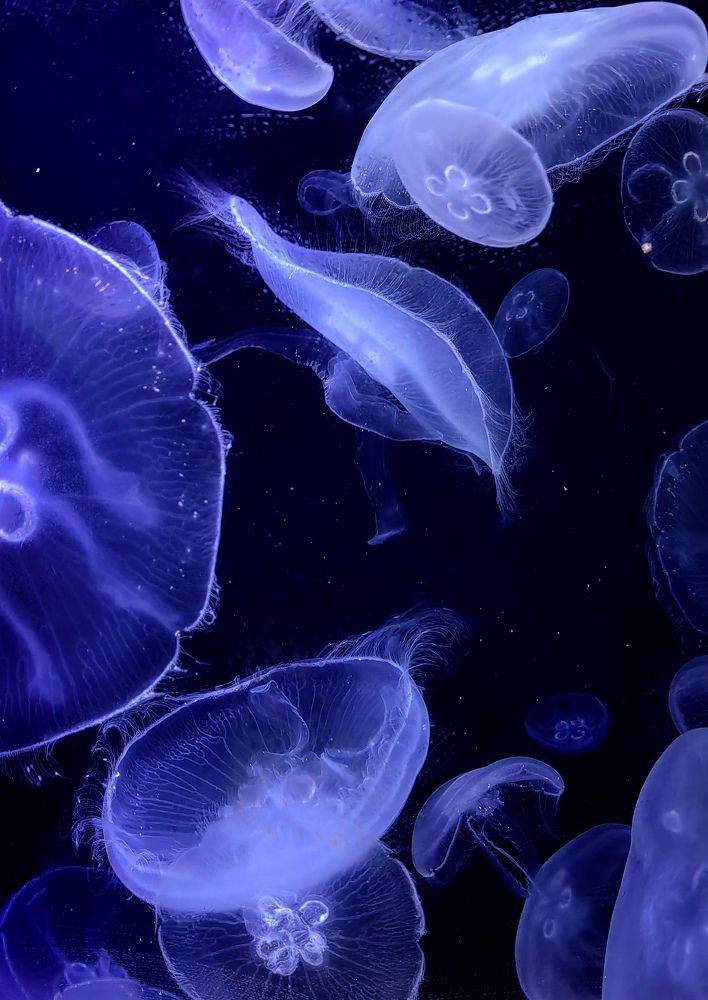 Photograph by Natalya Guseva