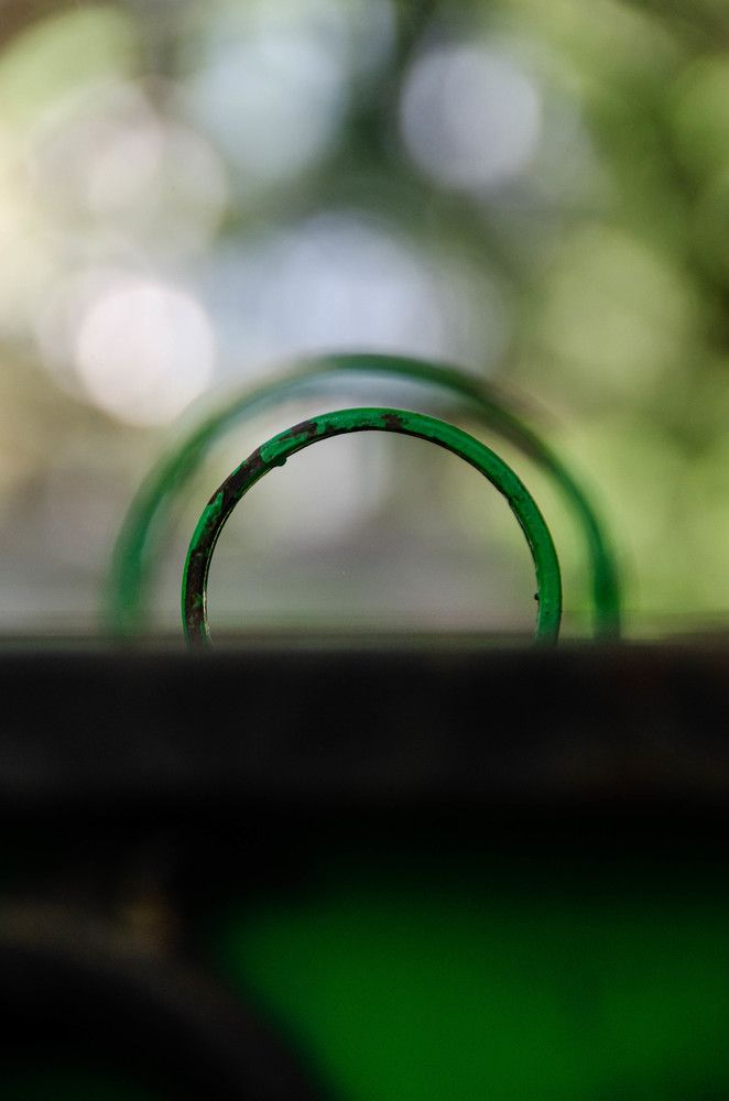 Photograph by Дмитрий Потапов