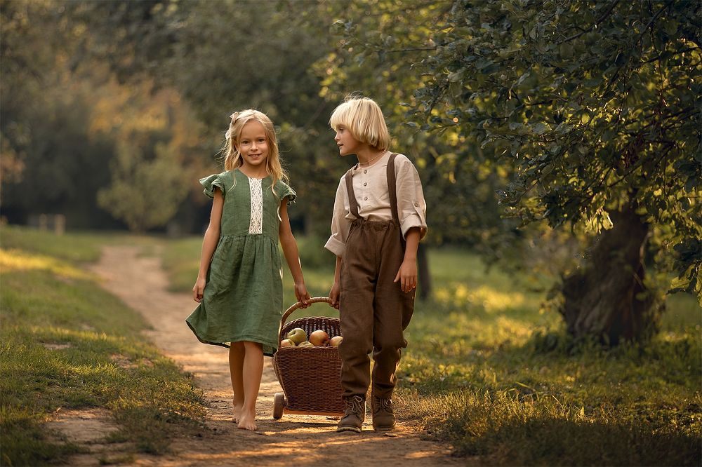 Сбор урожая