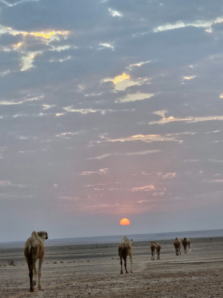 Фотография автора Ahmad Alhussaini