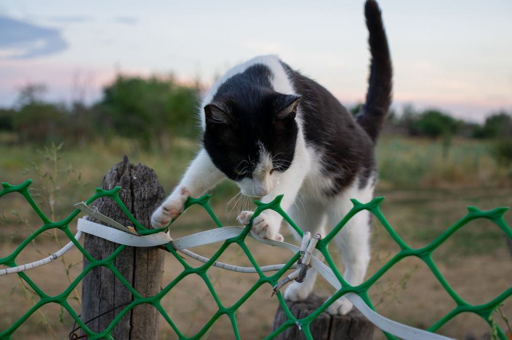 Photograph by Олег