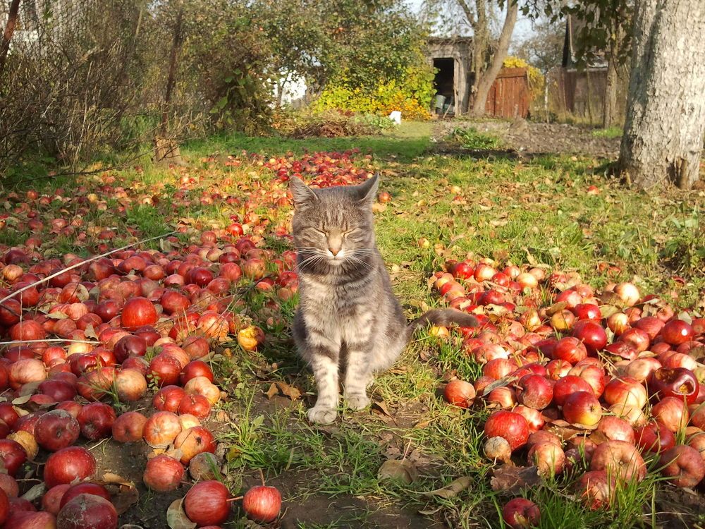 Photograph by Ирина Шведчикова