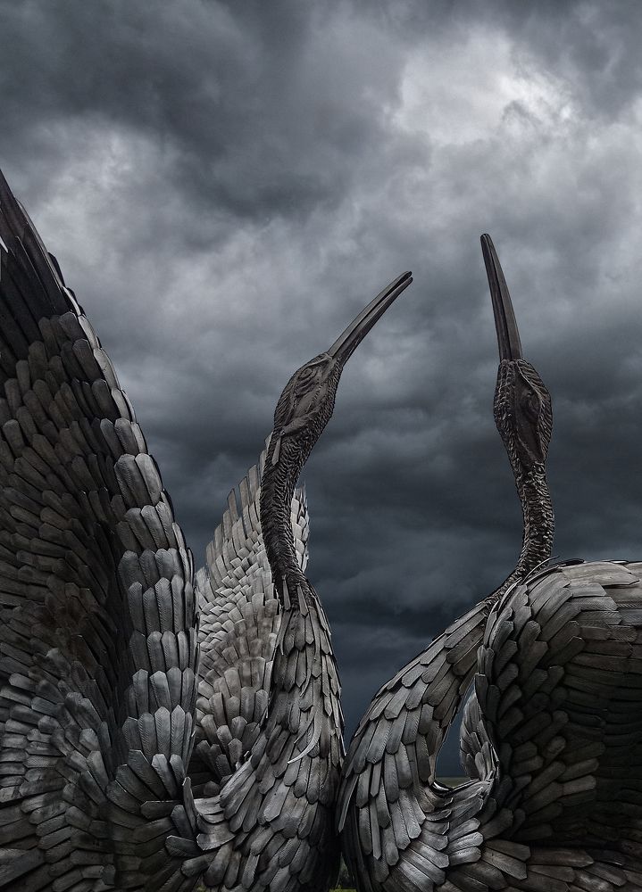 Photograph by Ольга Бакурская