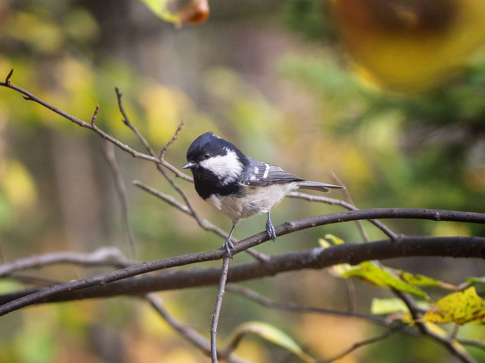 Photograph by Ignatov Yury