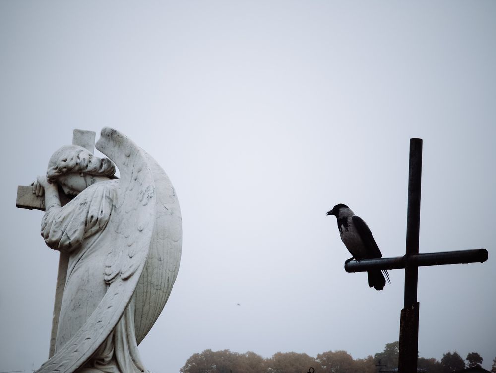 Photograph by Vitaliy