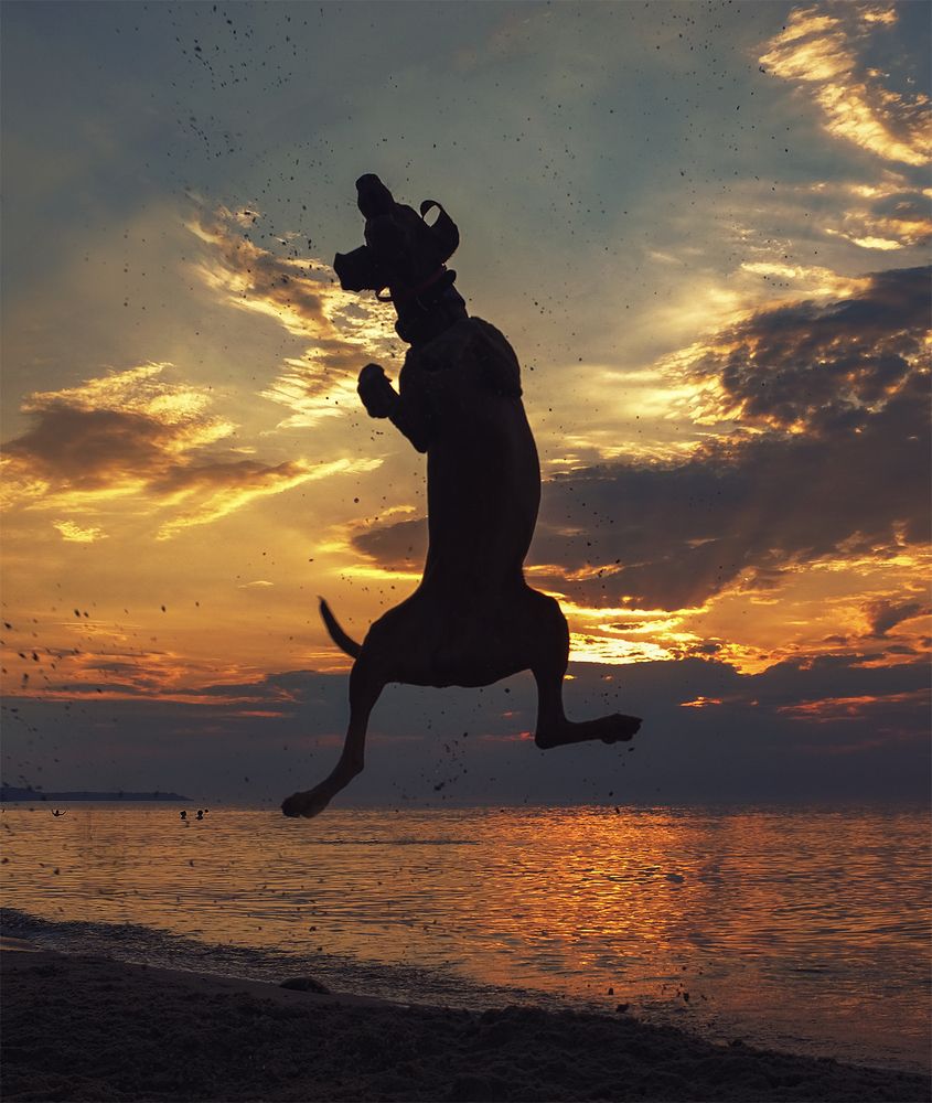 Photograph by Natalia Bolotenkova